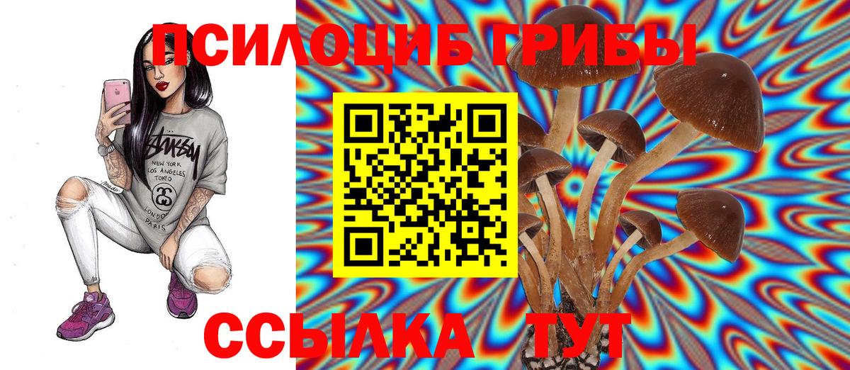 Галлюциногенные грибы Psilocybe  Псилоцибиновые грибы Cubensis  Вход с VPN  Шебекино 